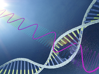 DNA wid durch Strahlen beschädigt.