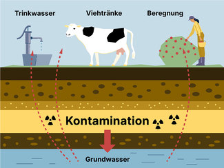 Es wird der Weg beschrieben von verunreinigtem Wasser in Grundwasserschichten, das über Trinkwasser und Beregnung sich in Vieh und Pflanzen einlagert, die wiederum über die Nahrungsaufnahme in den Menschen gelangen